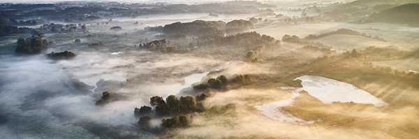 DEN_Newsletter_2205_Sustainability_report_600x200